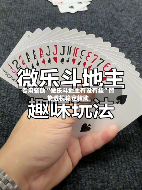 专用辅助“微乐斗地主有没有挂	”智能透视稳定辅助-第3张图片