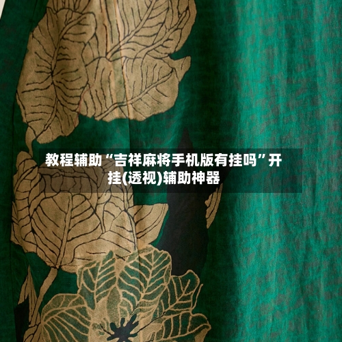 教程辅助“吉祥麻将手机版有挂吗”开挂(透视)辅助神器-第3张图片
