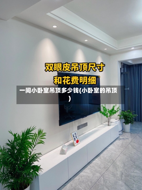 一间小卧室吊顶多少钱(小卧室的吊顶)-第1张图片