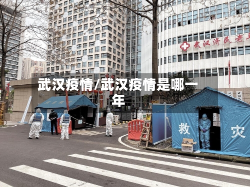 武汉疫情/武汉疫情是哪一年-第2张图片