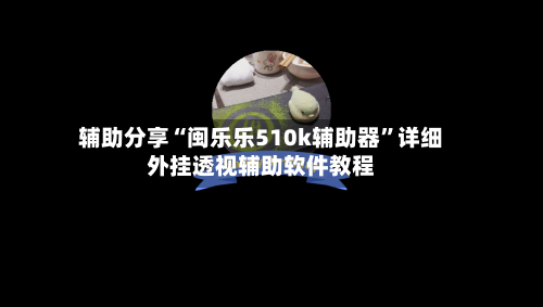辅助分享“闽乐乐510k辅助器”详细外挂透视辅助软件教程-第1张图片