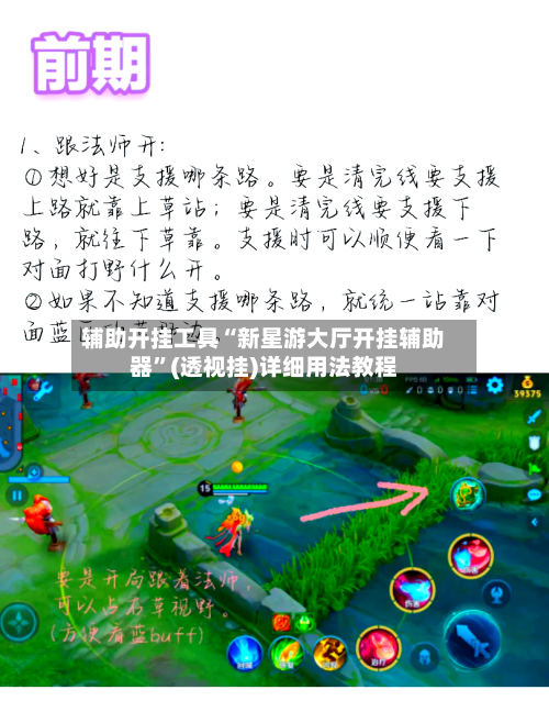 辅助开挂工具“新星游大厅开挂辅助器”(透视挂)详细用法教程-第1张图片