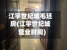 江宇世纪城毛坯房(江宇世纪城营业时间)-第1张图片