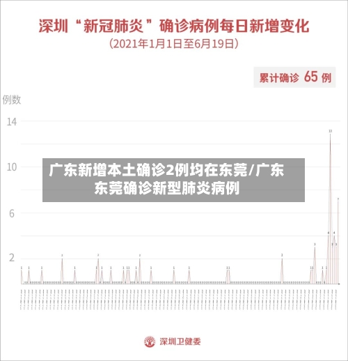 广东新增本土确诊2例均在东莞/广东东莞确诊新型肺炎病例-第1张图片