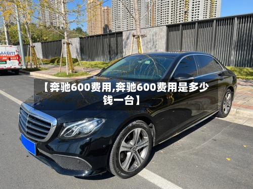 【奔驰600费用,奔驰600费用是多少钱一台】-第3张图片