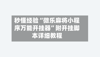 秒懂经验“微乐麻将小程序万能开挂器”附开挂脚本详细教程-第1张图片