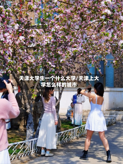 天津大学生一个什么大学/天津上大学怎么样的城市-第1张图片