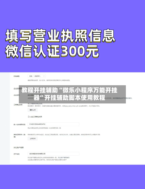 教程开挂辅助“微乐小程序万能开挂器”开挂辅助脚本使用教程-第2张图片