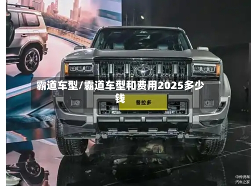 霸道车型/霸道车型和费用2025多少钱-第2张图片