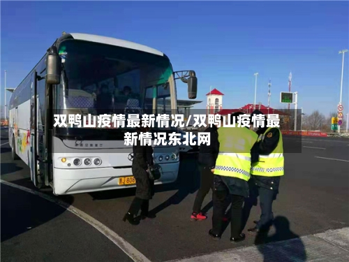 双鸭山疫情最新情况/双鸭山疫情最新情况东北网-第2张图片