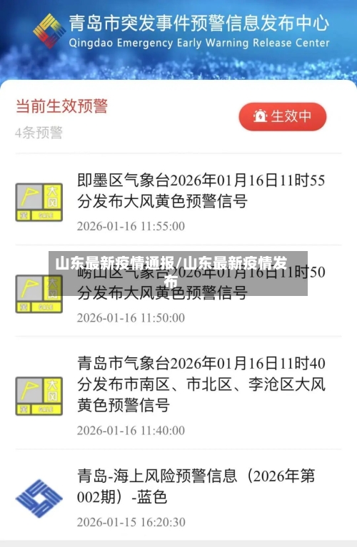 山东最新疫情通报/山东最新疫情发布-第2张图片