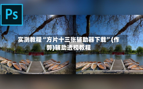 实测教程“方片十三张辅助器下载”(作弊)辅助透视教程-第1张图片