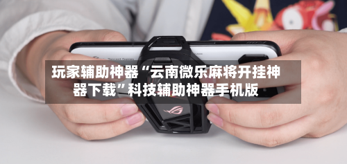 玩家辅助神器“云南微乐麻将开挂神器下载”科技辅助神器手机版-第3张图片