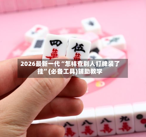 2026最新一代“怎样查别人打牌装了挂”(必备工具)辅助教学-第1张图片