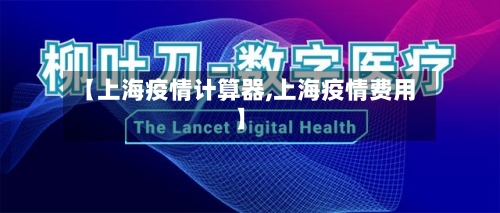 【上海疫情计算器,上海疫情费用】-第1张图片