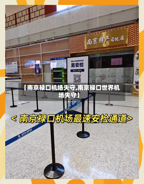 【南京禄口机场失守,南京禄口世界机场失守】-第1张图片