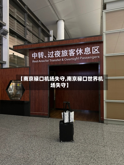 【南京禄口机场失守,南京禄口世界机场失守】-第2张图片