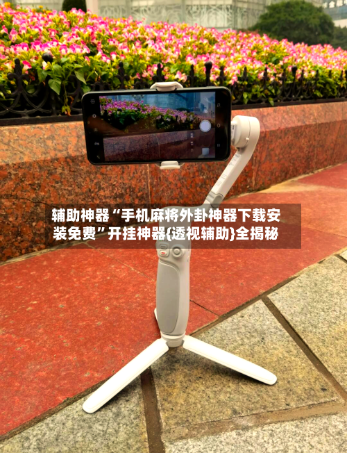 辅助神器“手机麻将外卦神器下载安装免费”开挂神器{透视辅助}全揭秘-第3张图片