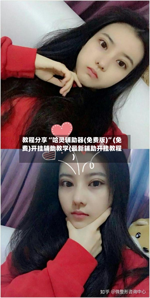 教程分享“哈灵辅助器(免费版)”(免费)开挂辅助教学(最新辅助开挂教程)-第2张图片