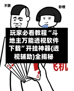 玩家必看教程“斗地主万能透视软件下载”开挂神器{透视辅助}全揭秘-第3张图片