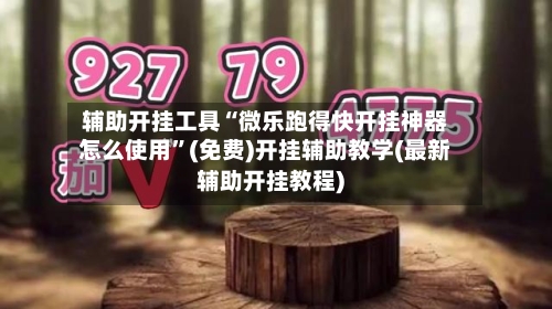 辅助开挂工具“微乐跑得快开挂神器怎么使用”(免费)开挂辅助教学(最新辅助开挂教程)-第1张图片