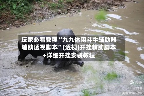 玩家必看教程“九九休闲斗牛辅助器辅助透视脚本	”(透视)开挂辅助脚本+详细开挂安装教程-第2张图片