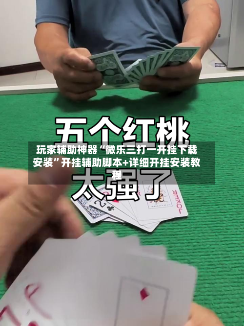 玩家辅助神器“微乐三打一开挂下载安装”开挂辅助脚本+详细开挂安装教程-第2张图片