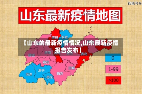 【山东的最新疫情情况,山东最新疫情报告发布】-第2张图片