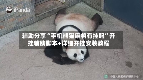 辅助分享“手机熊猫麻将有挂吗	”开挂辅助脚本+详细开挂安装教程-第2张图片