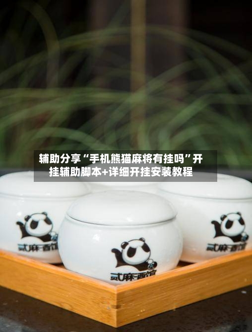 辅助分享“手机熊猫麻将有挂吗”开挂辅助脚本+详细开挂安装教程-第3张图片