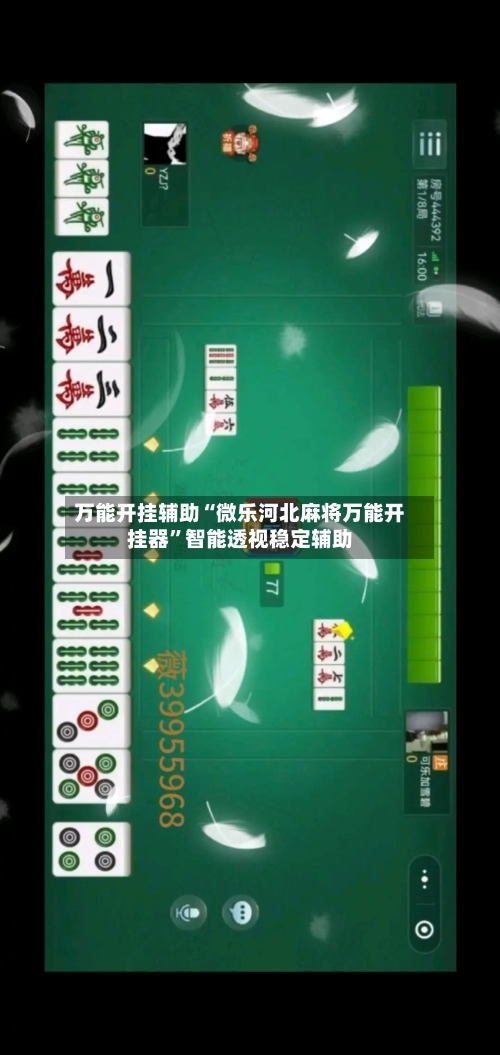 万能开挂辅助“微乐河北麻将万能开挂器	”智能透视稳定辅助-第2张图片