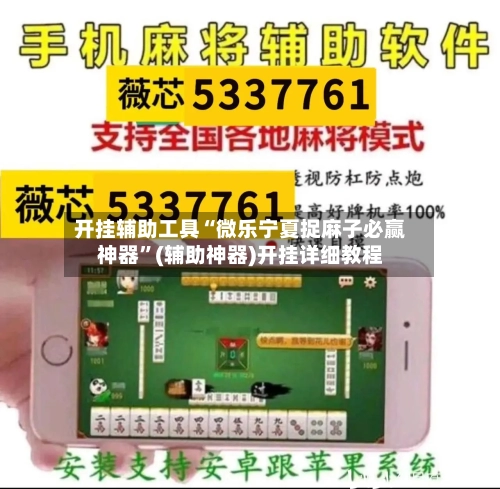 开挂辅助工具“微乐宁夏捉麻子必赢神器”(辅助神器)开挂详细教程-第2张图片