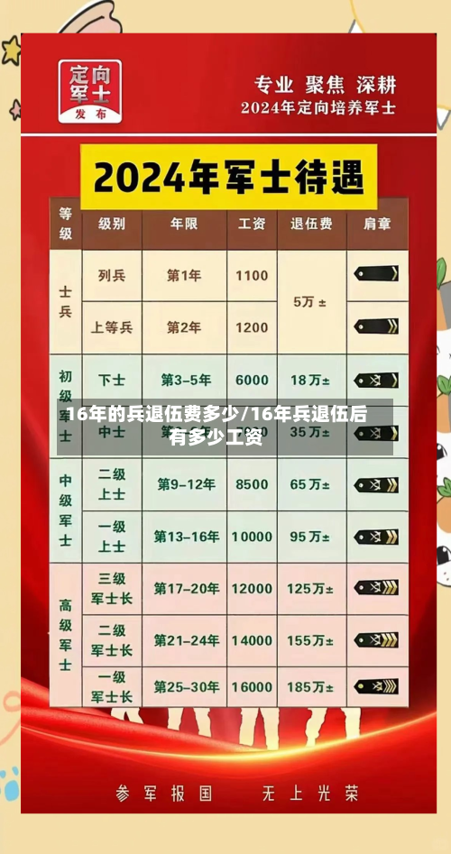 16年的兵退伍费多少/16年兵退伍后有多少工资-第1张图片