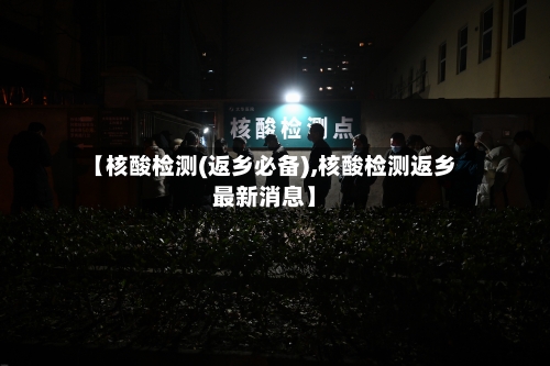 【核酸检测(返乡必备),核酸检测返乡最新消息】-第1张图片