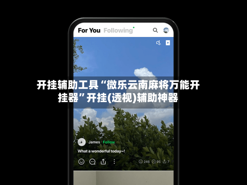 开挂辅助工具“微乐云南麻将万能开挂器”开挂(透视)辅助神器-第2张图片