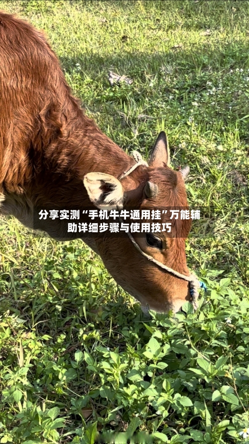 分享实测“手机牛牛通用挂	”万能辅助详细步骤与使用技巧-第1张图片
