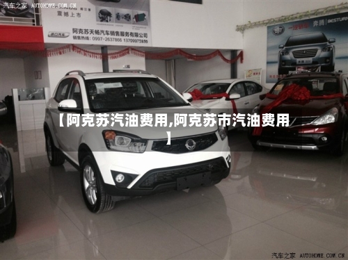 【阿克苏汽油费用,阿克苏市汽油费用】-第1张图片