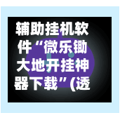 辅助挂机软件“微乐锄大地开挂神器下载”(透视)开挂辅助脚本+详细开挂安装教程-第3张图片