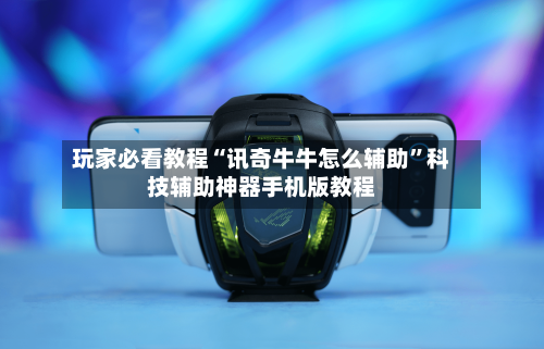 玩家必看教程“讯奇牛牛怎么辅助”科技辅助神器手机版教程-第2张图片