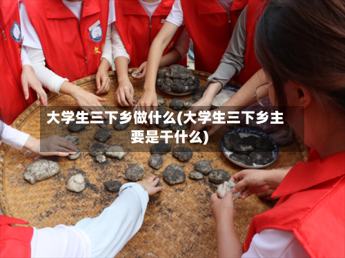 大学生三下乡做什么(大学生三下乡主要是干什么)-第1张图片