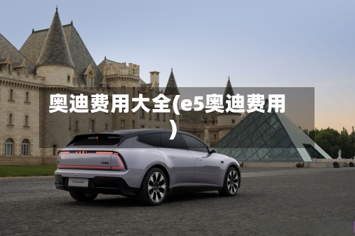 奥迪费用大全(e5奥迪费用)-第2张图片
