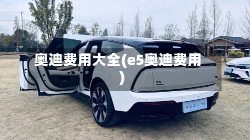 奥迪费用大全(e5奥迪费用)-第3张图片
