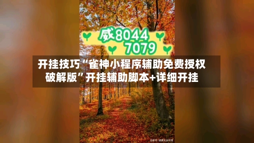 开挂技巧“雀神小程序辅助免费授权破解版”开挂辅助脚本+详细开挂-第2张图片