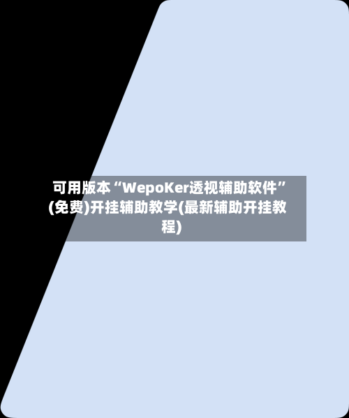 可用版本“WepoKer透视辅助软件	”(免费)开挂辅助教学(最新辅助开挂教程)-第1张图片