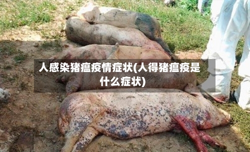 人感染猪瘟疫情症状(人得猪瘟疫是什么症状)-第1张图片