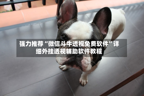 强力推荐“微信斗牛透视免费软件”详细外挂透视辅助软件教程-第3张图片