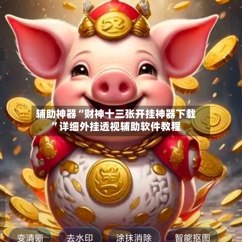 辅助神器“财神十三张开挂神器下载”详细外挂透视辅助软件教程-第2张图片