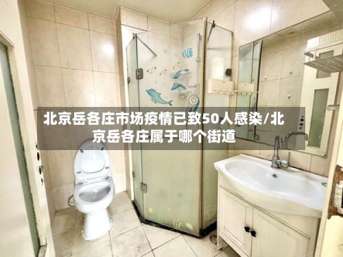 北京岳各庄市场疫情已致50人感染/北京岳各庄属于哪个街道-第2张图片