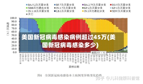 美国新冠病毒感染病例超过45万(美国新冠病毒感染多少)-第1张图片