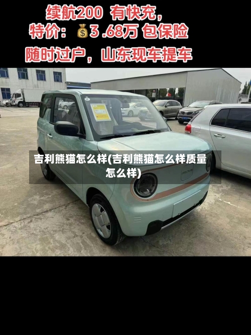 吉利熊猫怎么样(吉利熊猫怎么样质量怎么样)-第2张图片